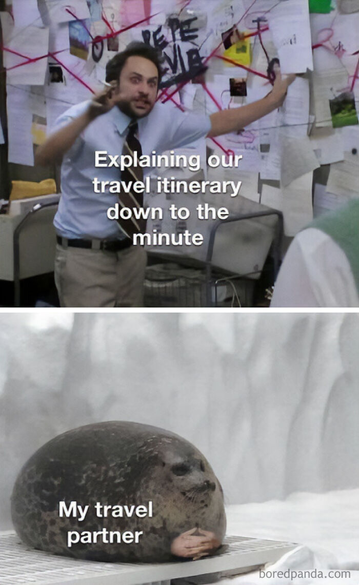 A man explaining travel itinerary down to the minute, with a seal representing the travel partner, from travel memes.