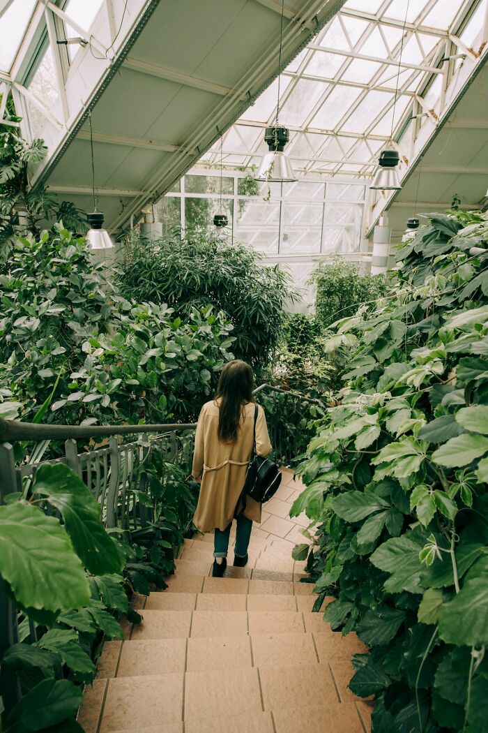 A woman walking down stairs in a lush greenhouse, reminding Americans to be respectful when they visit other countries.