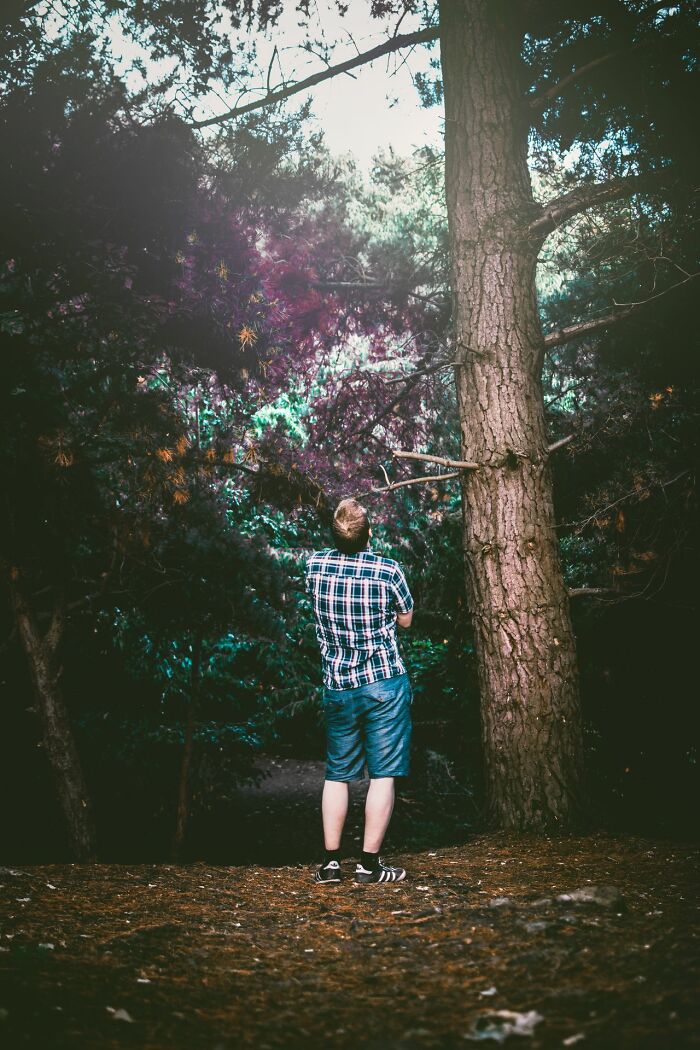 A man standing in a forest, looking up at trees, reminding Americans to be respectful when they visit other countries.