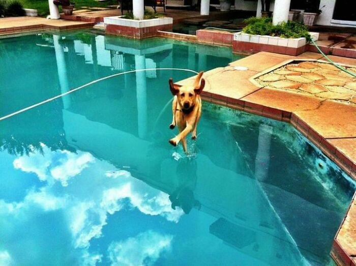 50 Perfectly Timed Animal Photos From This Online Collection That Are Almost Too Good To Be True