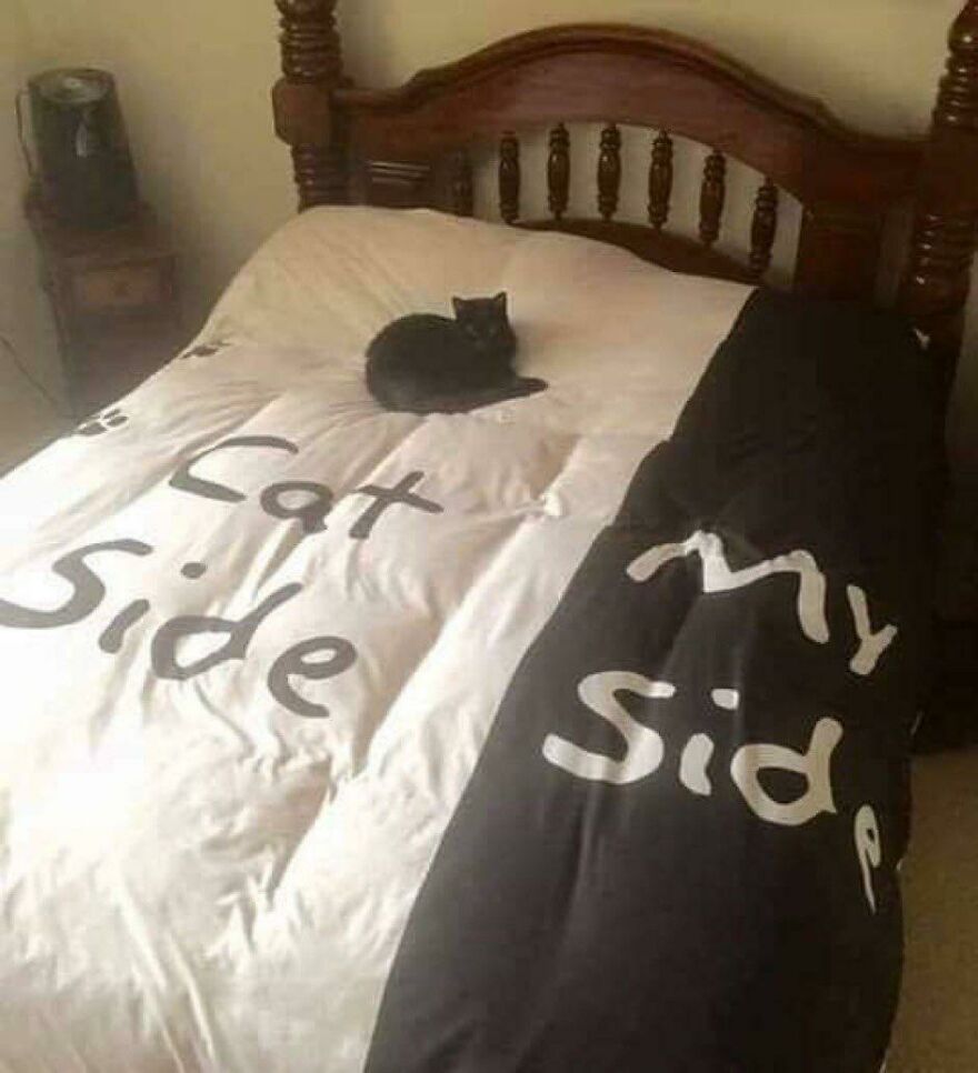 A black cat being weird, claiming the Cat Side of a bed with text saying Cat Side and My Side.