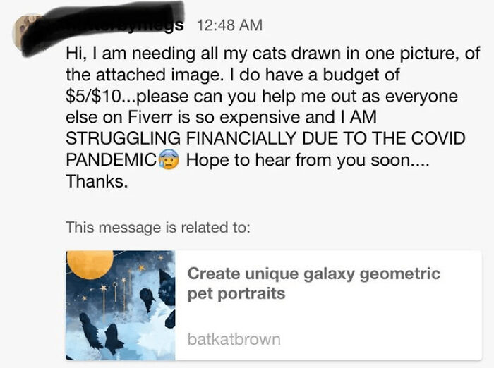A message with an outrageous request for cheap cat portraits due to money struggles during the pandemic.