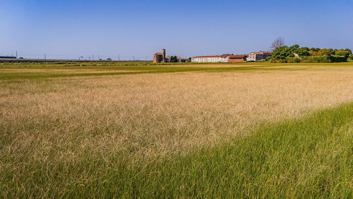 A dry, parched field in Europe, with buildings in the distance, illustrating the impact of the brutal drought.