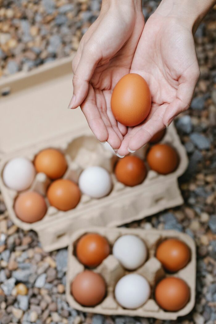 Hands holding an egg over cartons of eggs, illustrating a simple life experience Europeans might share.