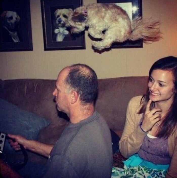 50 Perfectly Timed Animal Photos From This Online Collection That Are Almost Too Good To Be True