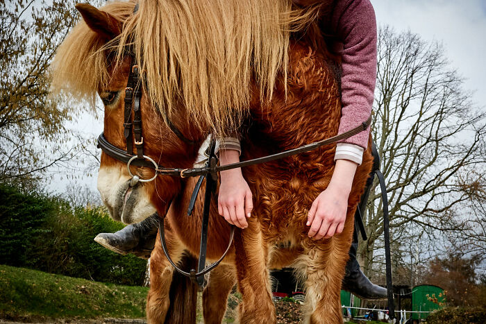 A street photography image of a person riding a horse with long blonde mane, capturing a moment of art.