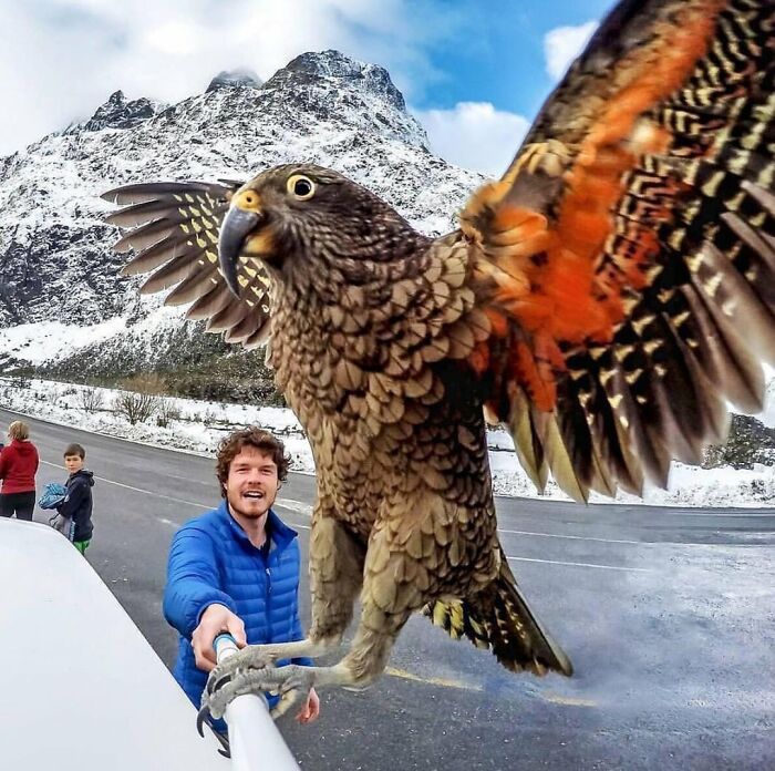 50 Perfectly Timed Animal Photos From This Online Collection That Are Almost Too Good To Be True