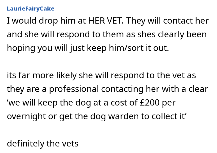 Neighbor Asks Couple To Watch Her Dog “For A Few Days,” Disappears When They Try To Return Him Neighbor Asks Couple To Watch Her Dog “For A Few Days,” Disappears When They Try To Return Him