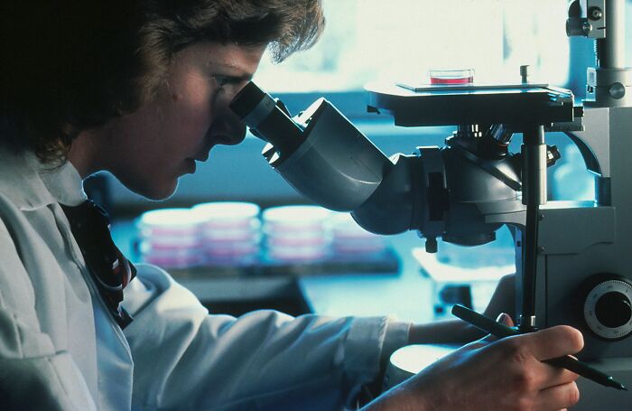 A scientist examines a sample through a microscope, researching cancer treatment and its potential side effects. A scientist examines a sample through a microscope, researching cancer treatment and its potential side effects.