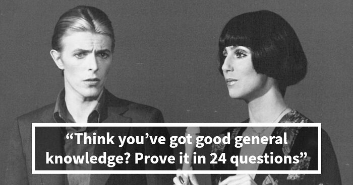 “Which Organ Pumps Blood?”: Answer All 24 Questions With Five-Letter Words