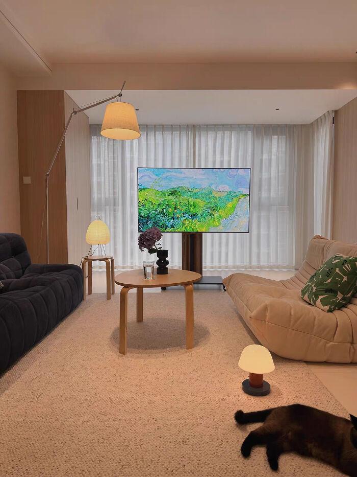 A cozy living room home design with a large TV showing nature, a sofa, a lounge chair, and a cat on a rug.