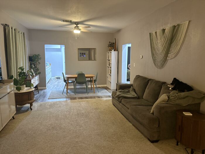 Open concept living and dining area with a sofa, dining table, and various plants, highlighting home design.