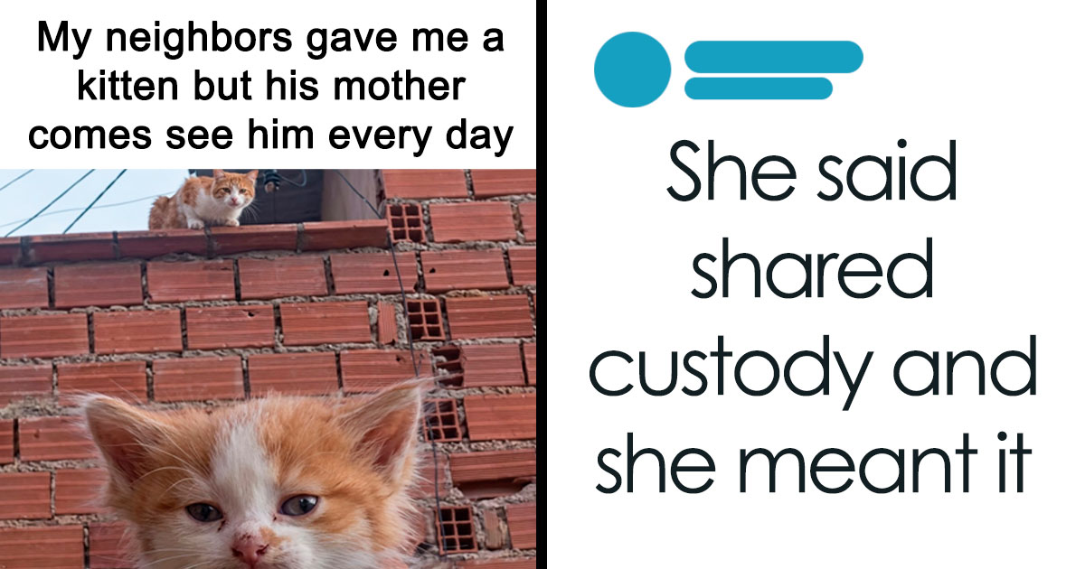 72 Heartwarming Animal Memes To Help You Escape The Doom-And-Gloom