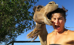 This Page Shared 50 Funniest Animal Photos That Deserve A Comedy Award