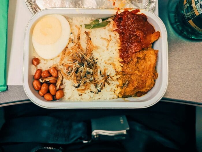 An in-flight meal with rice, chicken, peanuts, and a boiled egg, depicting cabin crew and their unhinged questions.