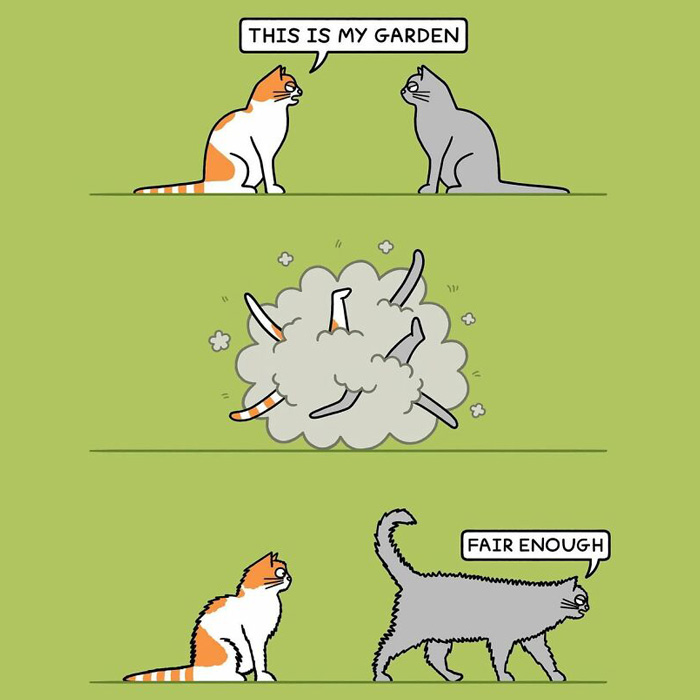 23 Delightfully Funny Cat Comics By Steve Nelson To Make Your Day Better