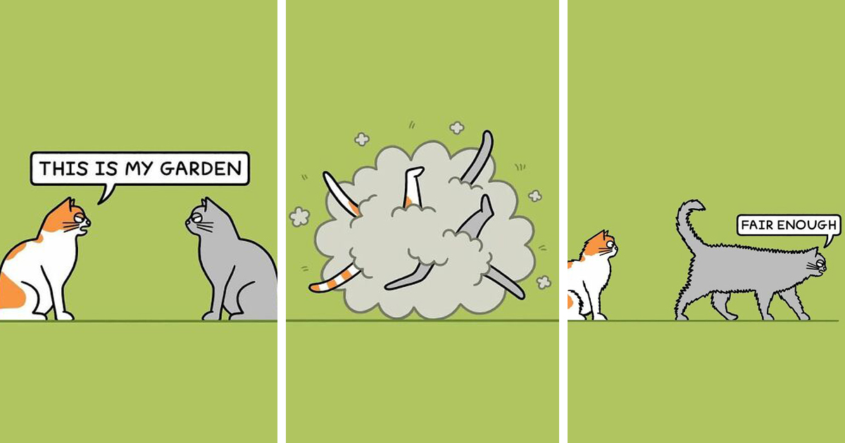 23 Hilarious Cat Comics That Turn Everyday Feline Antics Into Comedy