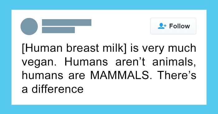 63 Cringe And Hilarious Moments Of People Being Wrong With Full Confidence (New Pics)