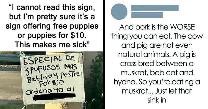 63 Cringe And Hilarious Moments Of People Being Wrong With Full Confidence (New Pics)