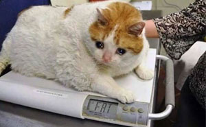 95 Funny Medical Memes To Make You Laugh, Whether You’re A Doctor Or Not