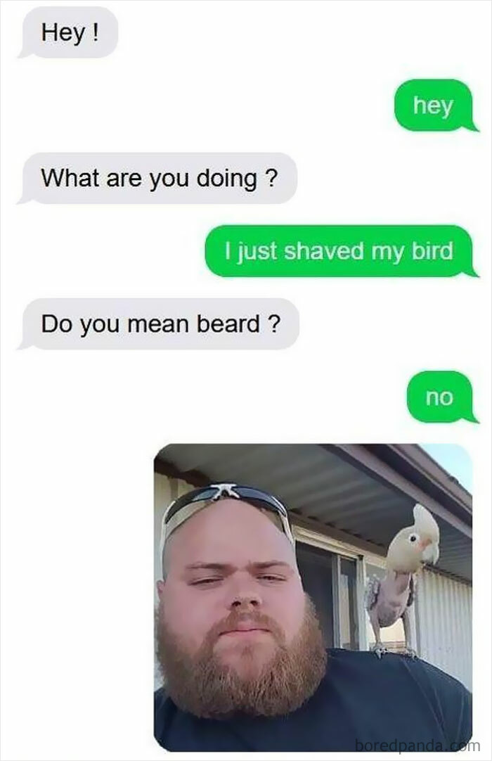 A man with a beard sends a hilarious text exchange and a selfie with his bird perched on his shoulder, confirming he shaved his bird.