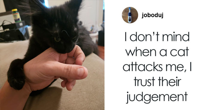73 Hilarious Tweets That Make Us Feel Grateful For People Who Have A Sense Of Humor (August Edition)