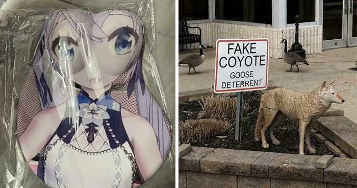 “How Do You Mess Up This Bad”: 81 People Who Had One Job Yet Managed To Still Fail (New Pics)