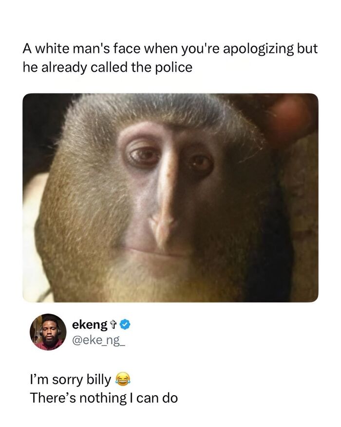 Funny Memes: A tweet showing a monkey's solemn face, captioned as a reaction to apologizing when police are called.