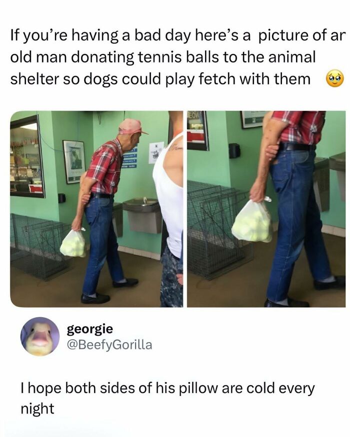 Funny memes about an old man donating tennis balls to an animal shelter for dogs to play fetch.