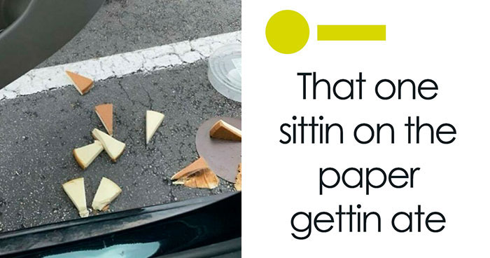 “A Literal Brain Fart”: 55 Chaotic And Funny Memes That Have No Business Being This Relatable