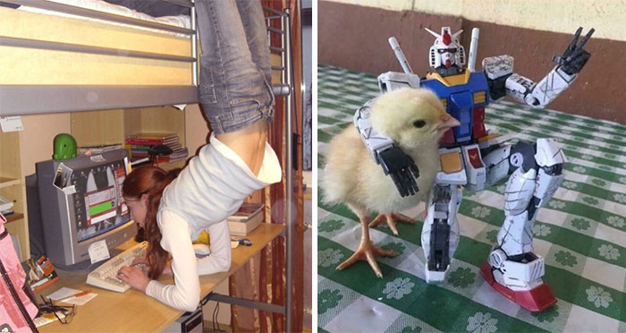 “Hmmm”: 66 Photos That We Definitely Cannot Explain But They’re Still Highly Amusing (New Pics)