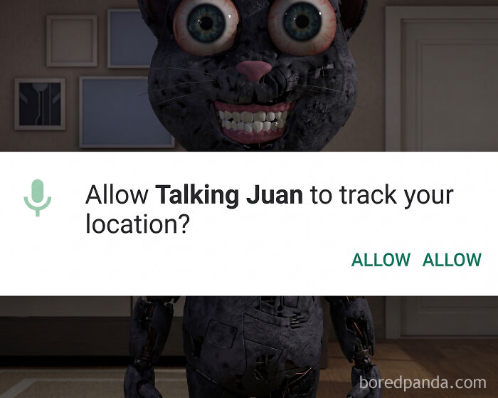 A creepy cat face with the text Allow Talking Juan to track your location, an unhinged meme.