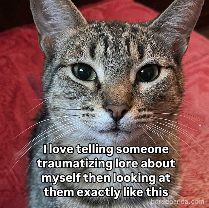 A cat with a straight face, accompanied by a meme text about telling traumatizing lore. This is an unhinged meme.