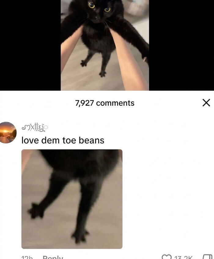 A black cat held up by its armpits, showing its splayed back paws, with text saying love dem toe beans, making a funny mood meme.