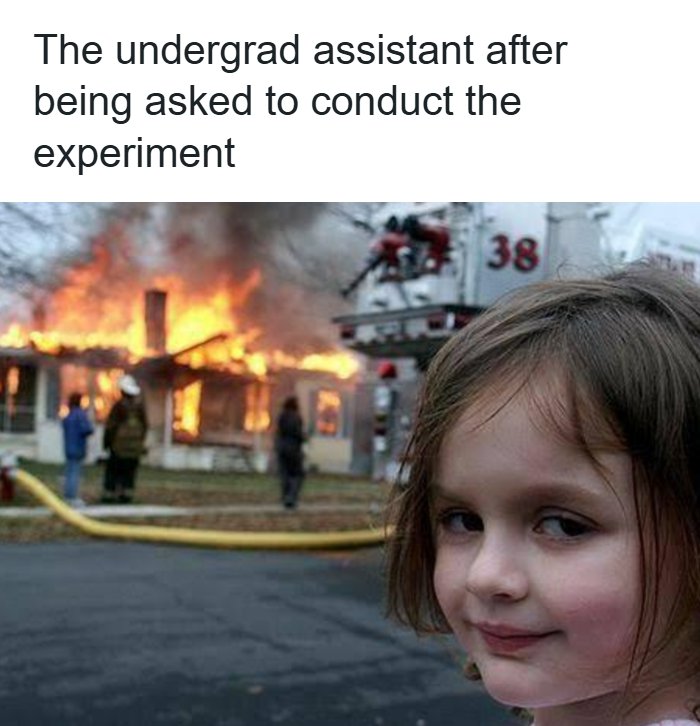 A PhD meme of a young girl smiling mischievously in front of a burning house, representing a research assistant.