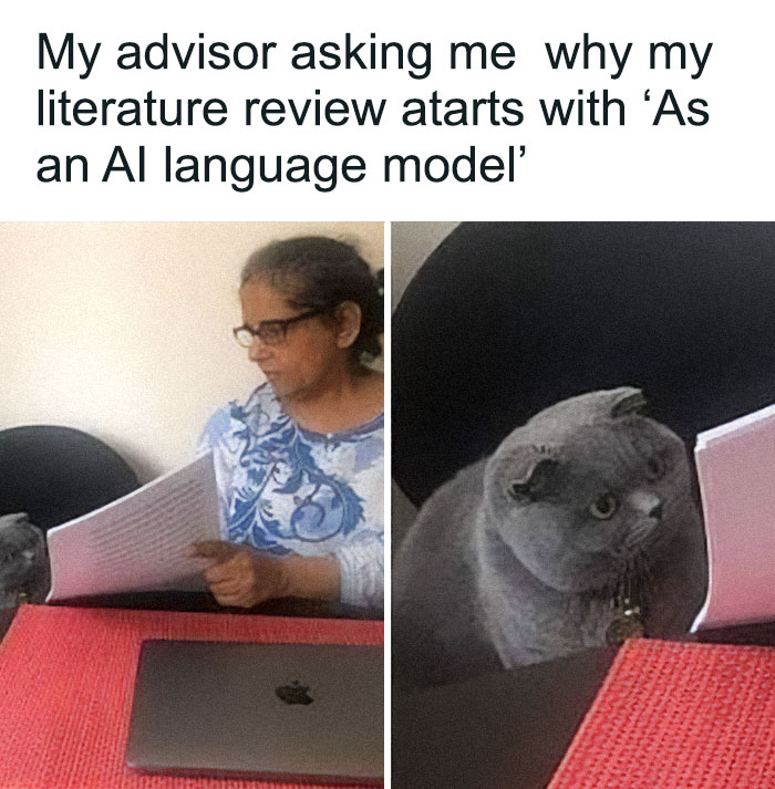 A PhD student's advisor looks critically at a literature review, next to a cat representing the student's reaction. A relatable PhD meme.