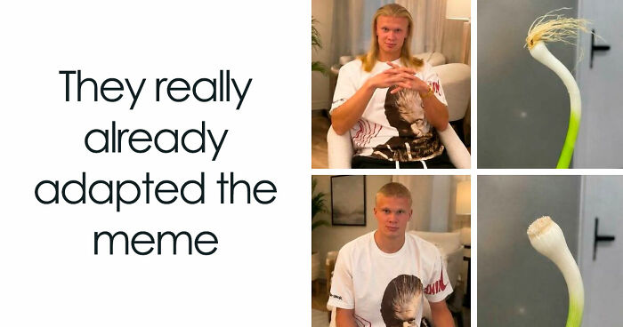 800K People Love This Page’s Sense Of Humor, Here Are 65 Of Its Best Posts