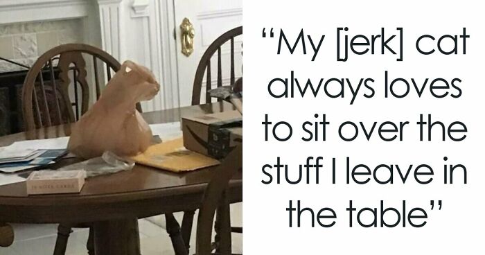 80 Pics With Hilariously Misleading Headlines That Completely Change What We See
