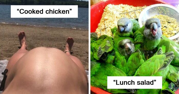 80 Pics That Look Completely Like Something Else Until You Read The Headline
