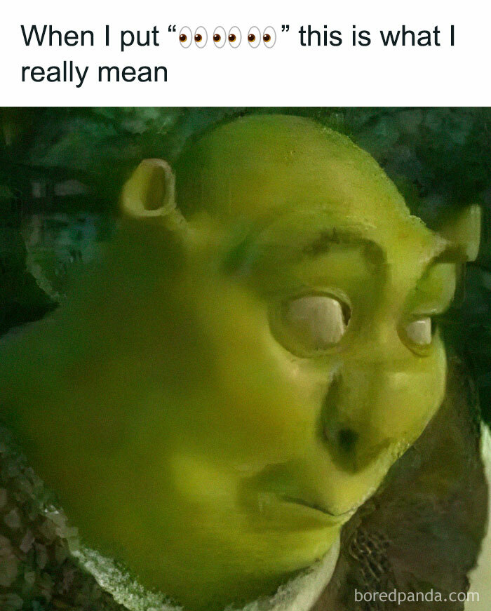 A close-up of Shrek's face with a dubious expression, one of many hilarious memes to go to bed in a good mood.
