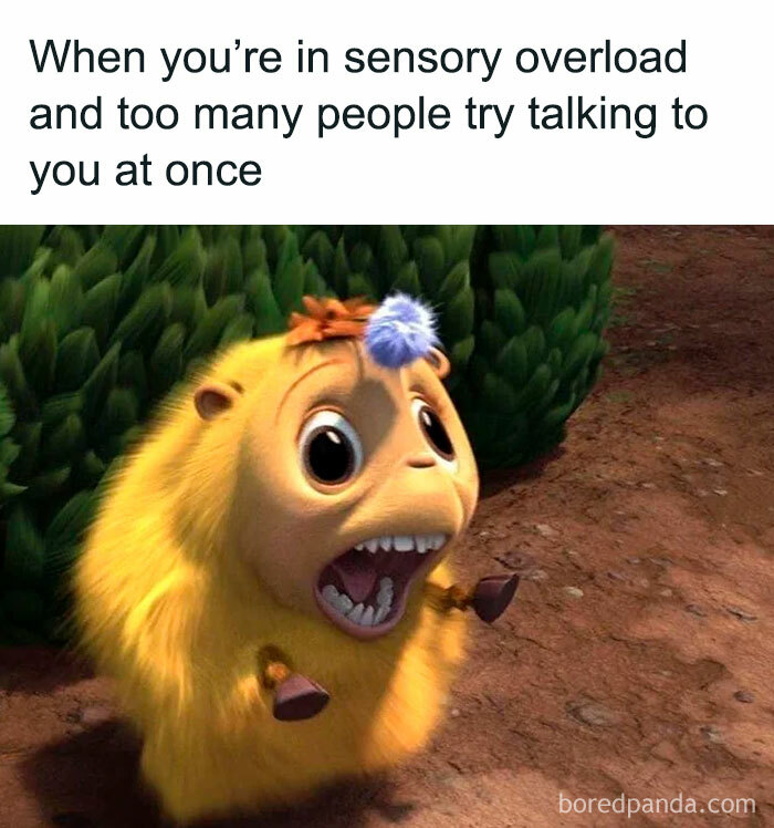 A yellow, furry creature with wide eyes and an open mouth, appearing stressed or overwhelmed in a sensory overload situation. Hilarious memes.