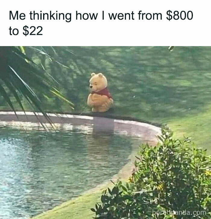 Winnie the Pooh sitting by a pond, contemplating financial losses, a hilarious meme.