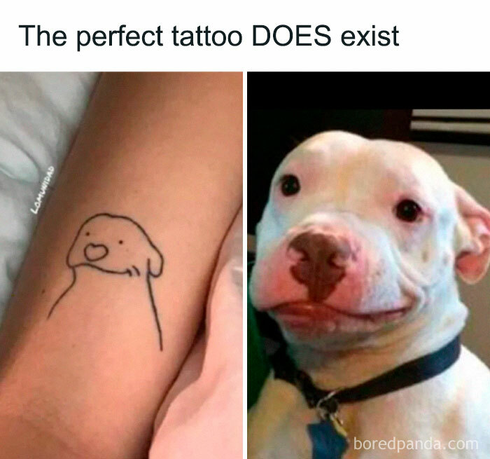 Hilarious meme showing a dog and a matching minimalist tattoo, bringing a good mood.