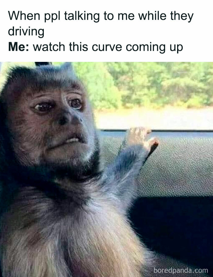 A monkey in a car looking nervous as the driver talks while driving, a hilarious meme.