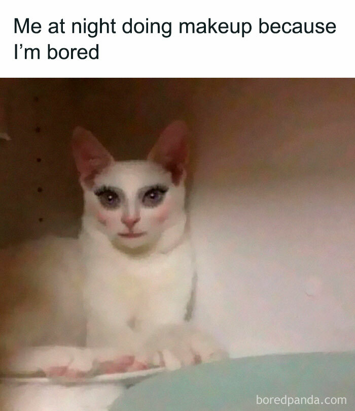 Hilarious meme of a white cat with makeup on, done out of boredom at night, for a good mood.
