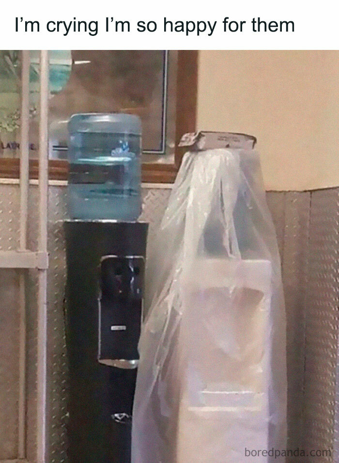 A funny meme showing two water coolers, one covered in plastic, with a caption expressing happiness for them, a hilarious meme.