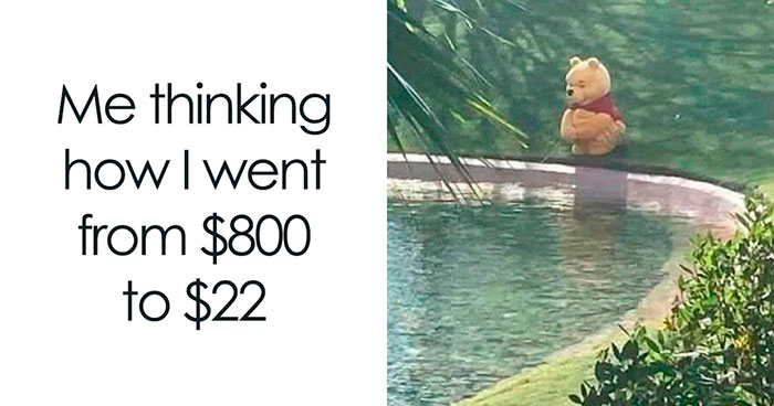 77 Hilarious Memes That Might Be The Reason Why You Go To Bed In A Good Mood Tonight