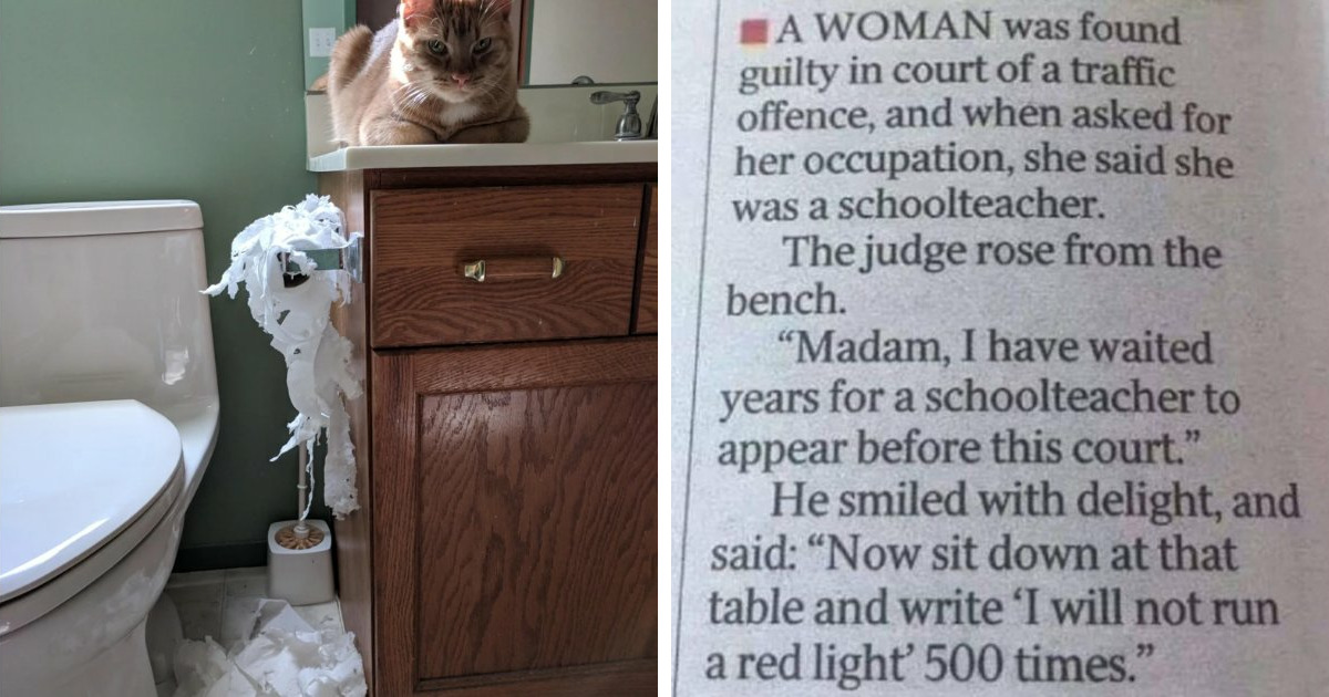 67 Revenge Stories That Started With A Tiny Grudge And Escalated Beautifully