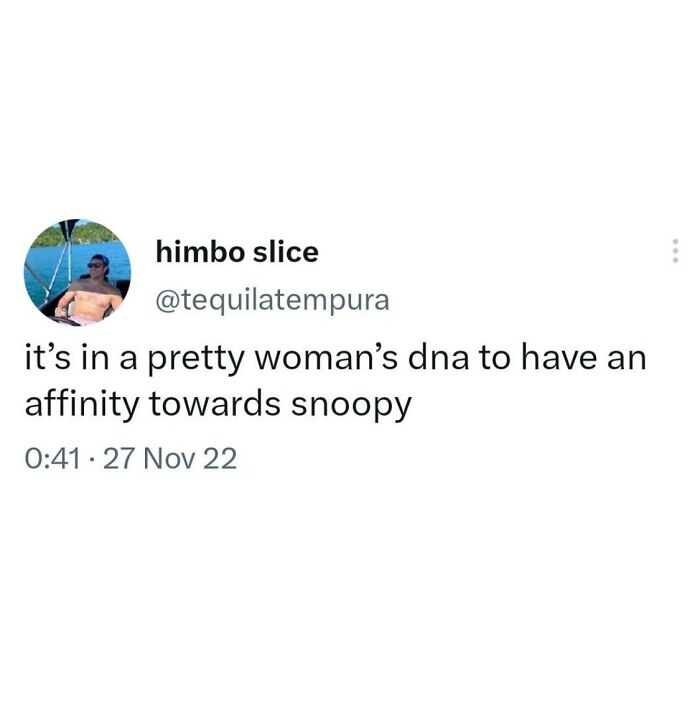 A Serotonin Meme of a tweet about pretty women having an affinity for Snoopy, bringing comfort.