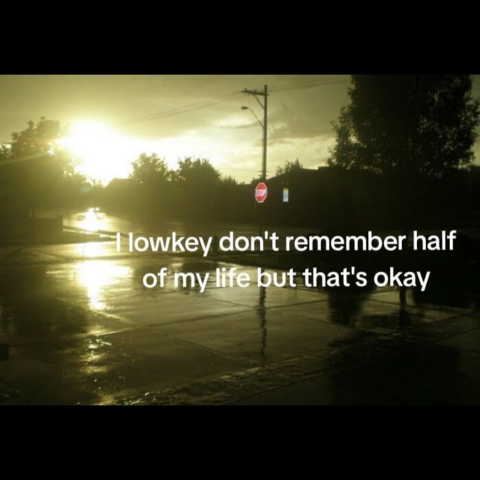 A serotonin meme showing a sunlit street with the text: 'I lowkey don't remember half of my life but that's okay.'